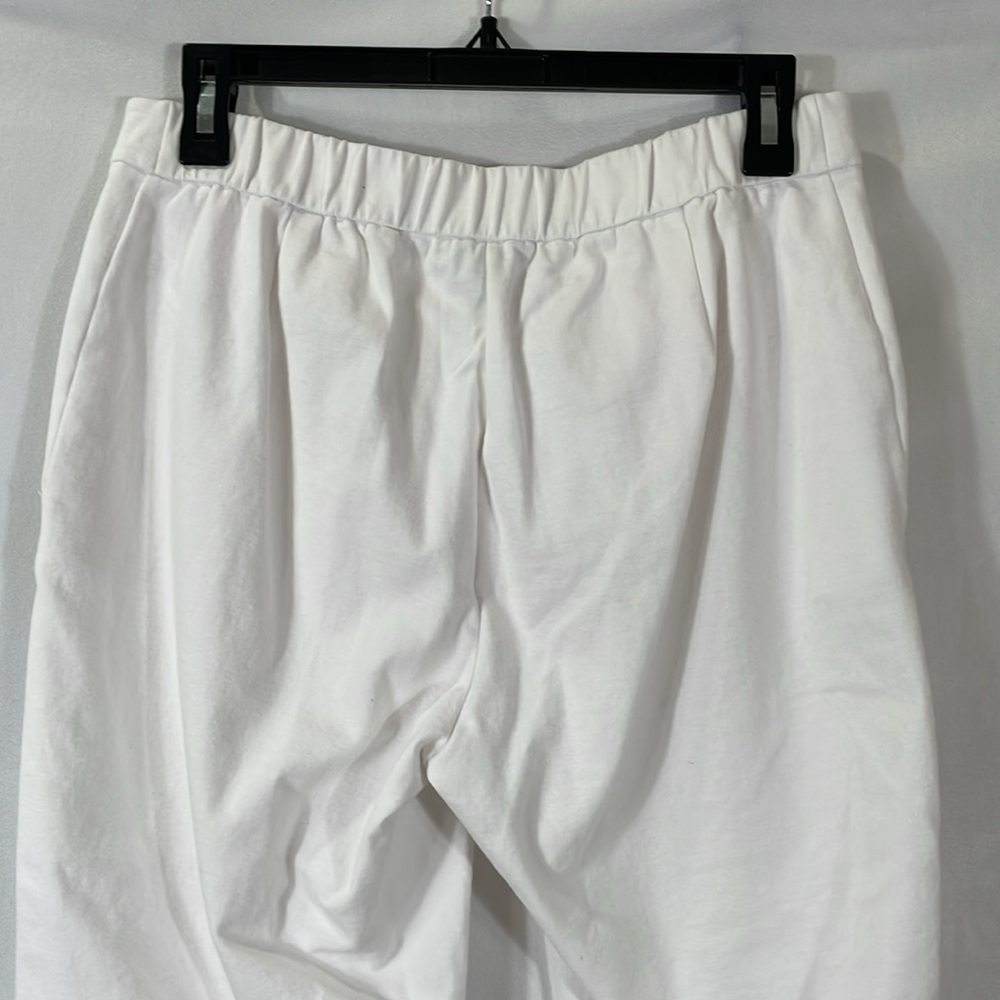 Eileen Fisher Pants XS White Cropped Stretch Pants Elastic Back EUC - Picture 3 of 9